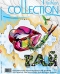  "Fashion Collection" - ( -  2005)